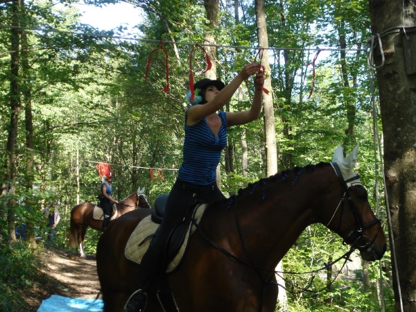 DSC06493 - HOMEPAGE.JPG